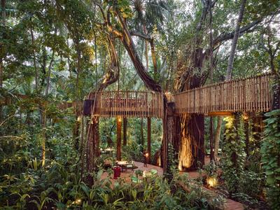 Przytulny taras z drewnianą balustradą otoczony bujnym tropikalnym lasem w hotelu.