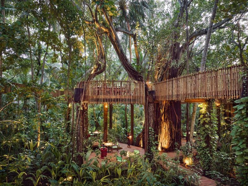 Przytulny taras z drewnianą balustradą otoczony bujnym tropikalnym lasem w hotelu.