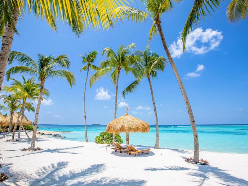 Weißer Sandstrand mit Palmen, Sonnenschirm und Liegestühlen am türkisfarbenen Meer.