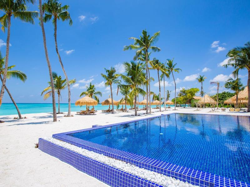 Uferpool am tropischen Strand mit Palmen unter blauem Himmel.