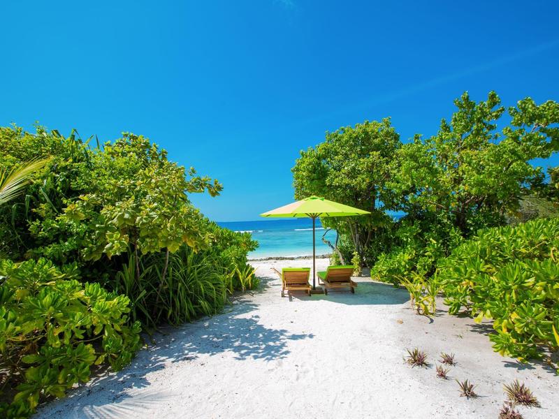 Ein weißer Sandweg führt durch grüne Pflanzen zu einem sonnigen Strand mit einem grünen Sonnenschirm.