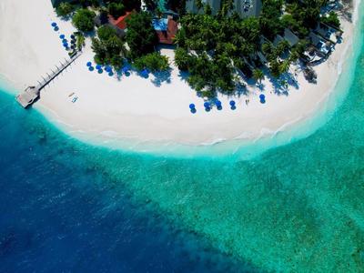 Malahini Kuda Bandos