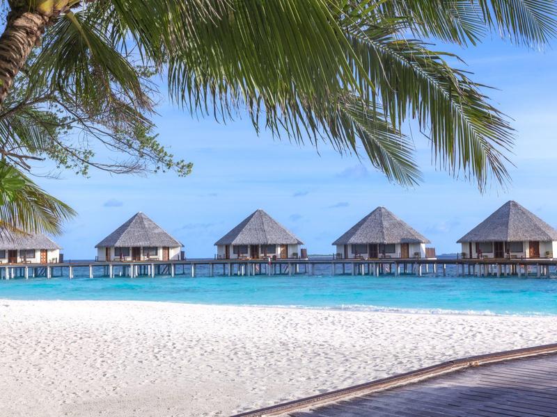 Vier bungalows boven het water met turquoise water en wit zandstrand onder palmbomen.