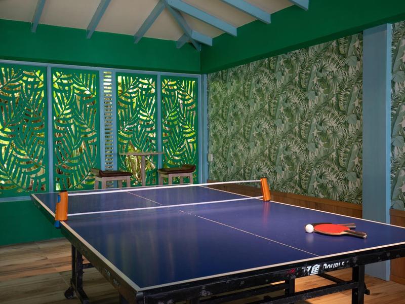 Tavolo da ping pong in una stanza con pareti verdi e finestre decorative.