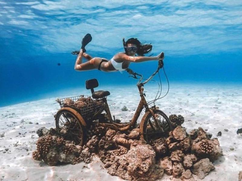 Eine Frau im Schnorchel taucht über einem alten, von Korallen bewachsenen Fahrrad am Meeresboden.