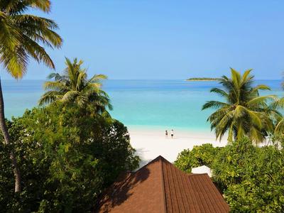 Uitzicht op een wit zandstrand met turquoise water en palmbomen, onderdeel van een hotel of resort.