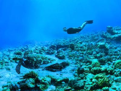 Diver swimming underwater alongside a sea turtle over a coral reef.