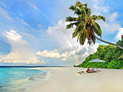 Plage de sable blanc avec des palmiers, mer bleue et deux chaises longues sous un parasol.