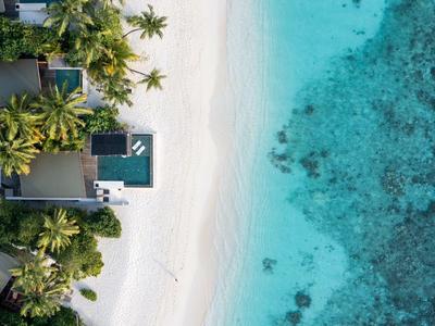 Vue aérienne d'une plage tropicale avec du sable blanc, des palmiers et une eau turquoise claire.