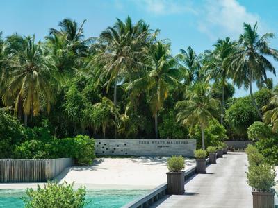 Ścieżka z małymi roślinami prowadzi do białej piaszczystej plaży otoczonej palmami.