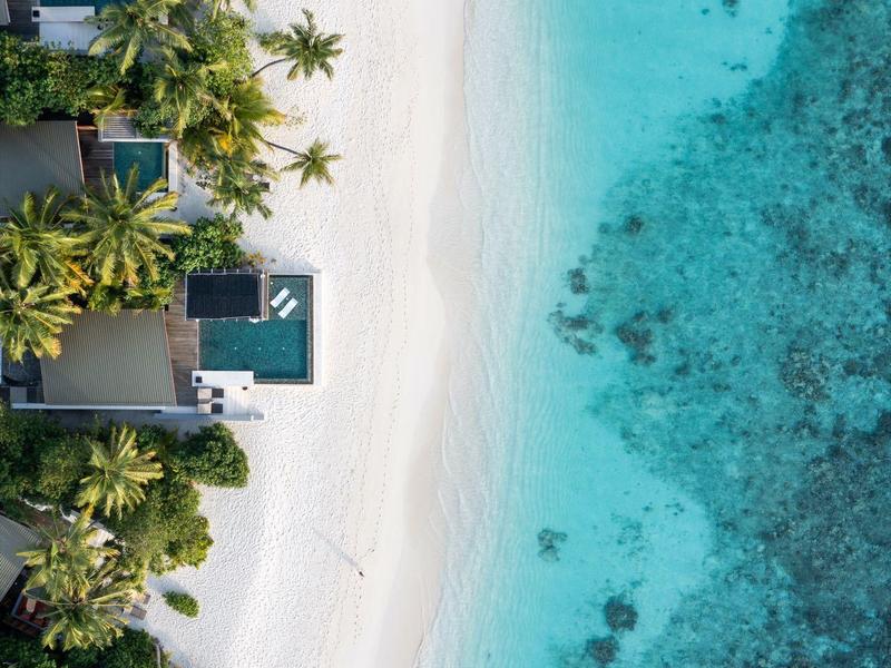 Vue aérienne d'une plage tropicale avec du sable blanc, des palmiers et une eau turquoise claire.