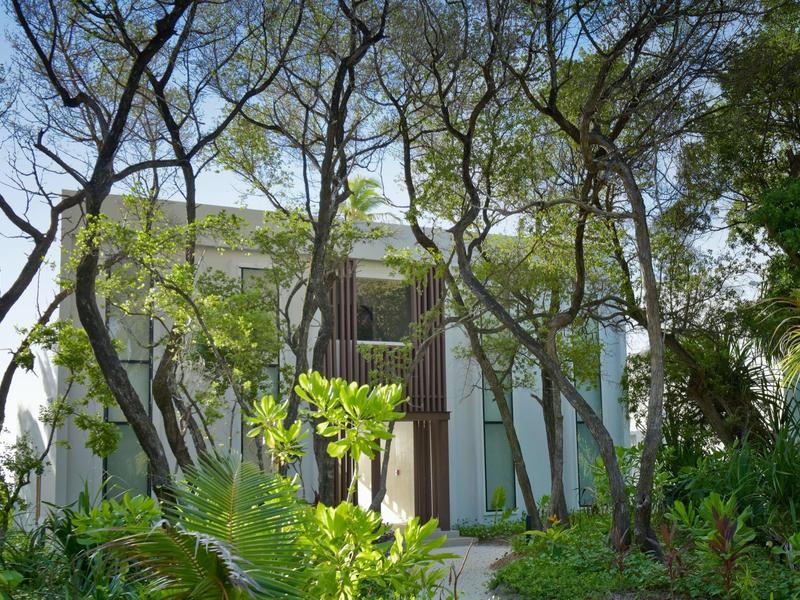 Modernes Haus mit großen Fenstern, umgeben von hohen Bäumen und grünen Pflanzen.