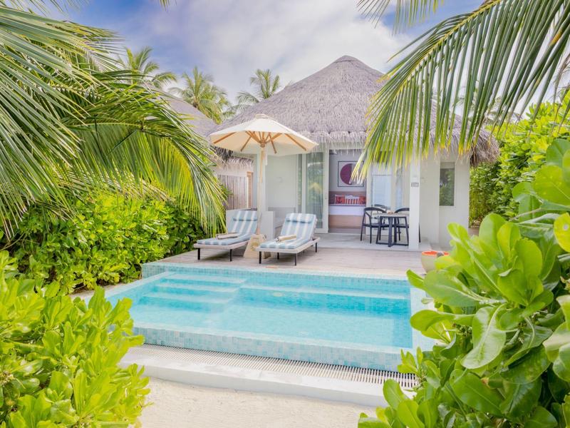 Luxusbungalow mit Pool und Liegestühlen, umgeben von tropischen Pflanzen.