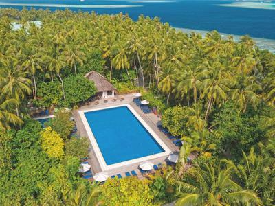 Een rechthoekig zwembad omgeven door dichte palmbomen met uitzicht op de blauwe zee.
