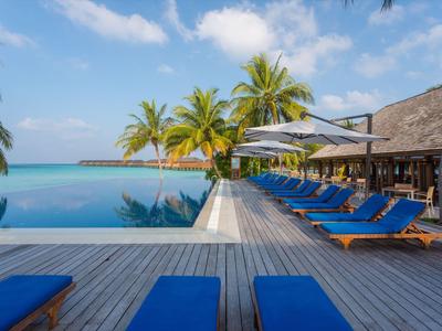 Infinitypool met blauwe ligstoelen en palmbomen bij een zonnig strandresort.