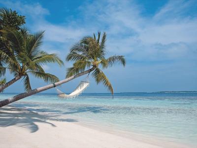 Weiße Sandstrände mit Palmen und einer Hängematte über klarem blauem Wasser.