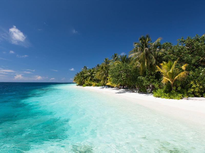 Weißer Sandstrand mit klarem türkisem Wasser und üppiger grüner Vegetation unter blauem Himmel.