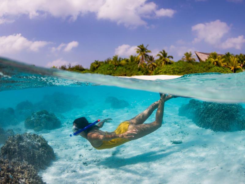 Una persona hace esnórquel en agua clara sobre arrecifes de coral con una isla tropical al fondo.