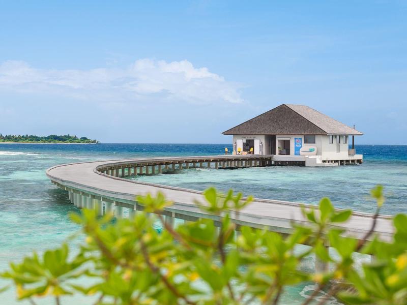 Cabaña de madera sobre pilotes en el agua con un largo muelle y plantas verdes al frente.