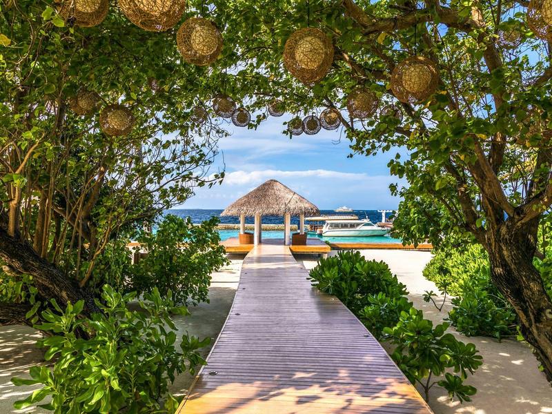 Ein Holzsteg führt durch grüne Bäume zu einer Strandhütte mit Palmdach am Meer.