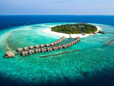 Kleine tropische Insel mit grünen Bäumen, weißem Sandstrand und über Wasser gebauten Bungalows.