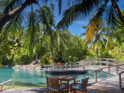 Area piscina tropicale con palme, un ponte e posti a sedere all'aperto con tempo soleggiato.