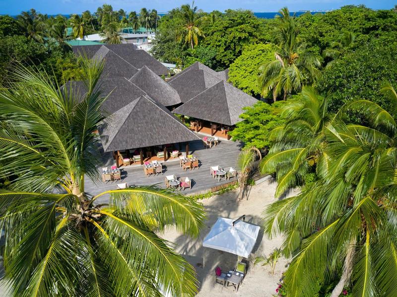Ein tropisches Resort mit strohgedeckten Hütten, umgeben von Palmen und grünem Dschungel.