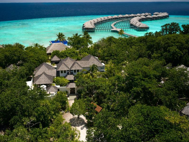 Tropische Insel mit grünen Bäumen, Bungalows und Stegen im türkisblauen Meer.