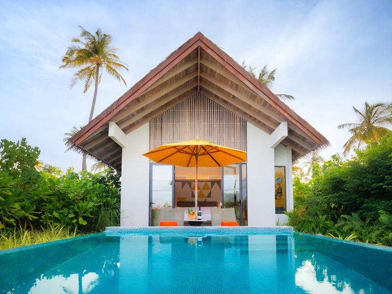 Modernes Haus mit Holzdach, großem Pool vorne und tropischen Palmen im Hintergrund.