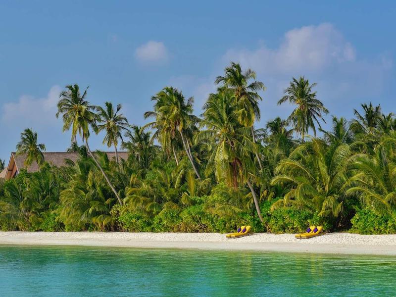Strand mit weißem Sand, türkisfarbenem Wasser und dicht bewachsenen Palmen unter blauem Himmel.