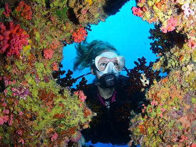 Taucher erkundet farbenfrohes Korallenriff unter Wasser mit Tauchgerät und Lampe