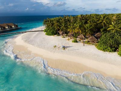 Tropischer Strand mit Palmen, weißem Sand und türkisfarbenem Wasser unter blauem Himmel.