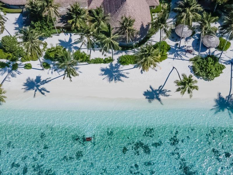 Luchtfoto van een tropisch strand met palmbomen, wit zand en helder blauw water.