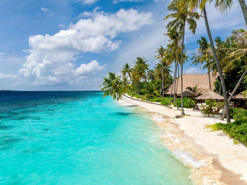 Caribisch strand met wit zand, palmbomen en helder turquoise water onder een blauwe lucht.
