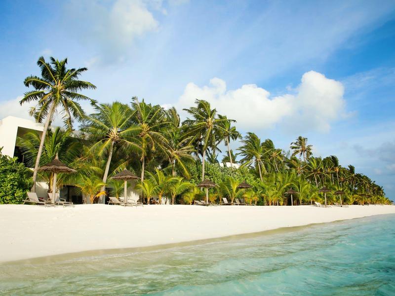 Tropischer Strand mit weißen Sand, Palmen und klarem blauen Wasser unter klarem Himmel.