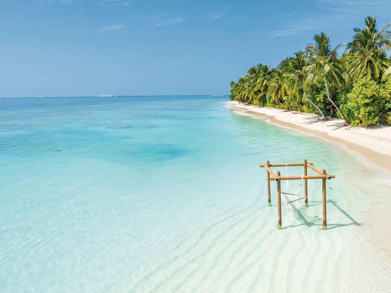 Klarer, türkisfarbener Ozean mit weißem Sandstrand und Palmen unter blauem Himmel.