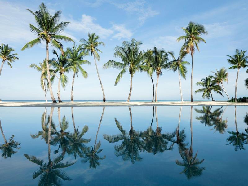 Palmen spiegeln sich im klaren Wasser eines Pools unter blauem Himmel.