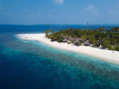 Kleine tropische Insel mit weißem Sandstrand, Palmen und klarem blauem Meer unter blauem Himmel.