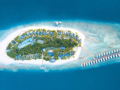 Eine kleine, runde Insel mit dichtem Grün, umgeben von weißem Sand und türkisblauem Wasser.