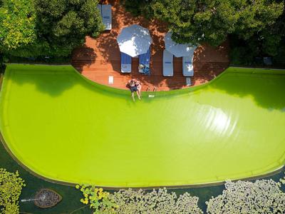 Piscina verde con lettini e ombrelloni in un'area giardino ombreggiata di un hotel.