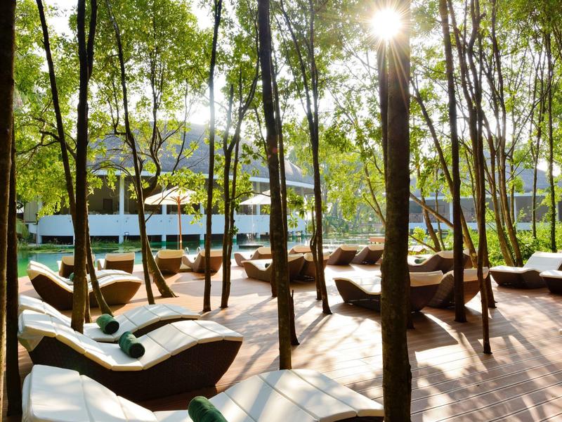 Sonnenbeschienene Liegestühle zwischen Bäumen an einem Hotelpool.