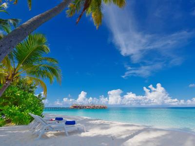 Strand met wit zand, palmbomen en kalme, heldere zee onder een blauwe hemel