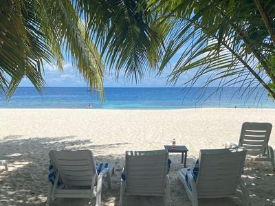 Vier leere Liegestühle stehen am Schatten unter Palmen auf weißem Sandstrand vor blauem Meer.