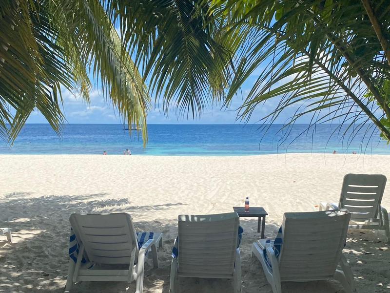 Vier leere Liegestühle stehen am Schatten unter Palmen auf weißem Sandstrand vor blauem Meer.