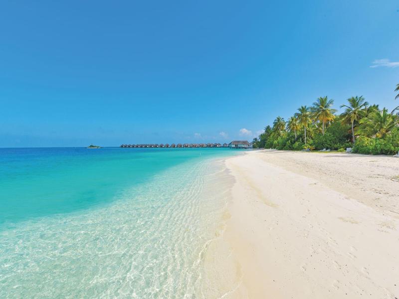 Weißer Sandstrand mit klarem türkisfarbenem Wasser und Palmen unter blauem Himmel