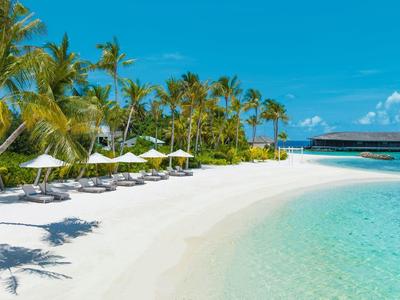 Pláž s bílým pískem, palmami a lehátky vedle čisté tyrkysové vody