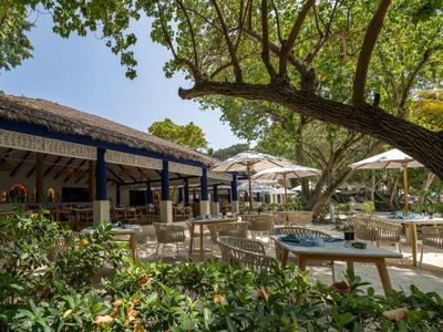 Zona exterior de cafetería con sillas, mesas y sombrillas bajo un gran árbol.