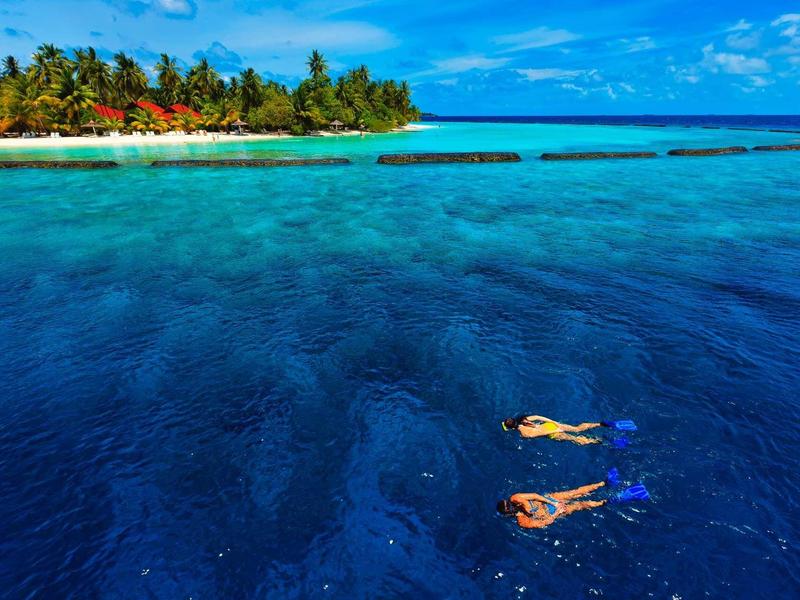 Two snorkelers in clear blue water near a tropical island with palm trees.