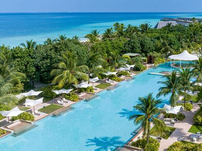 Large pool with lounge chairs and umbrellas surrounded by palm trees by the sea.