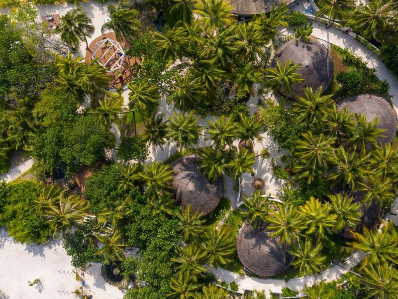 Vista aérea de bungalows con techos de paja rodeados de palmeras y arena blanca.